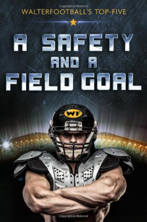 Book cover of "A Safety and a Field Goal"